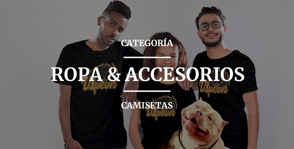 Ropa y accesorios